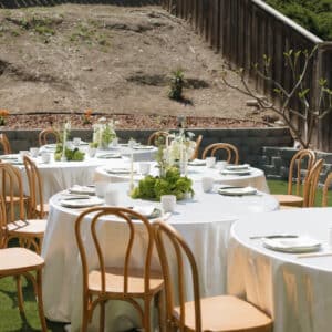 bentwood chairs